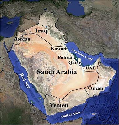 The Promise of Molecular and Genomic Techniques for Biodiversity Research and DNA Barcoding of the Arabian Peninsula Flora